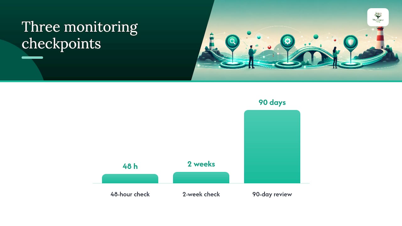 Launch day and the 90-day monitoring schedule — overview diagram